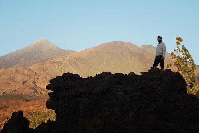 Small Group Teide National Park Volcanic and Forest Wonders - Overall Experience and Organization
