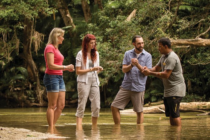 Small-Group Tour of the Daintree With an Aboriginal Guide (Mar ) - Transportation and Pickup Details