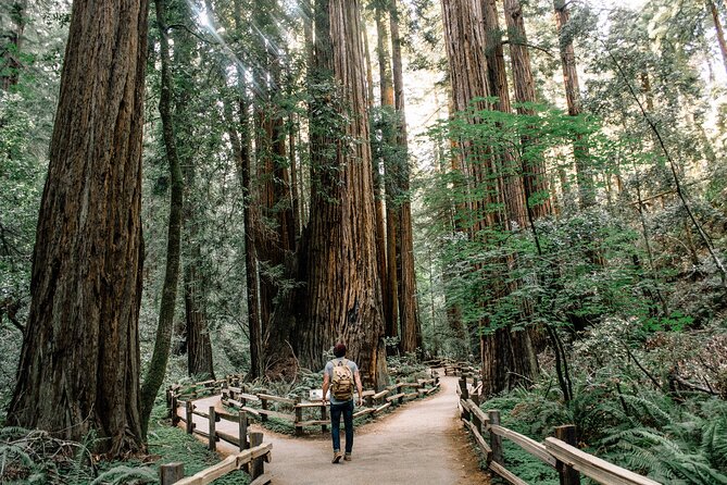 Small Group Tour: SF, Muir Woods, Sausalito W/ Optional Alcatraz - Must-See Attractions and Insights