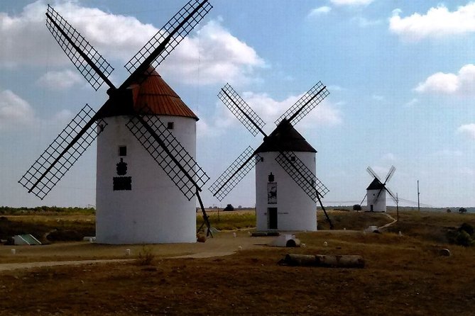 Small Group Tour to Toledo, Windmills & Winery Tour With Lunch - Last Words