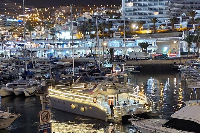 Small-Group Whale and Dolphin-Watching Tour by Catamaran  - Tenerife - Common questions