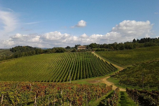 Small-Group Wine Tasting Experience in the Tuscan Countryside - Common questions