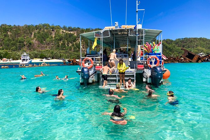 Snorkeling and Dolphin-Spotting Cruise at Moreton Island  - Brisbane - Positive Feedback