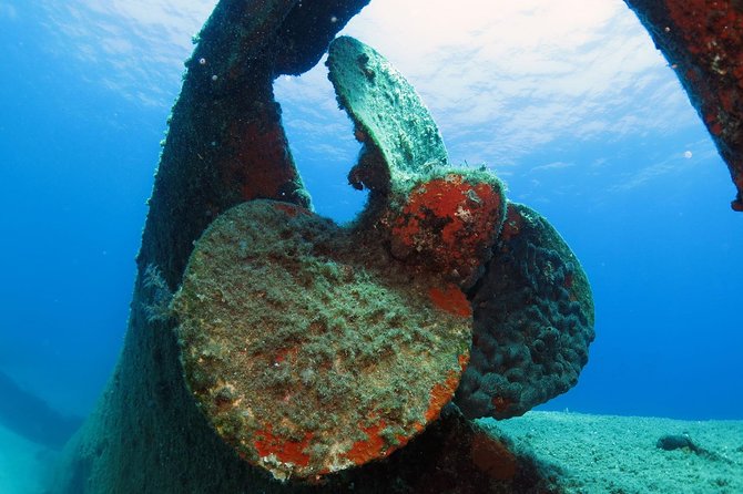 Snorkeling and Swimming Tour to the Poseidons Temple at Sounio Cape - Pickup Service Options