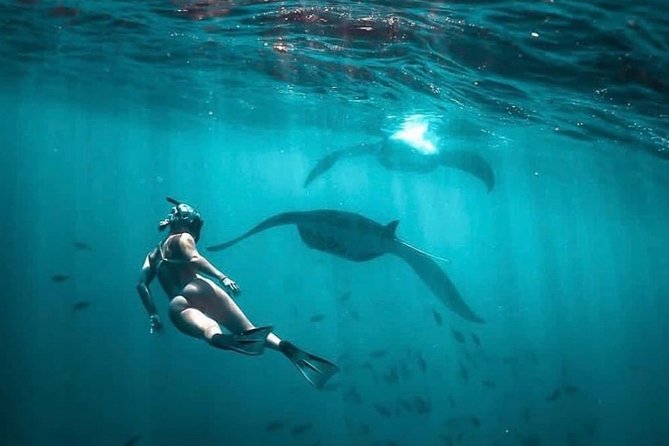 Snorkeling Manta Ray Safari in Nusa Penida - Reviews and Booking Information