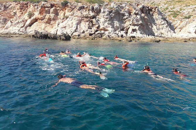 Snorkeling Marine Protected Area Tavolara - Booking Confirmation and Restrictions