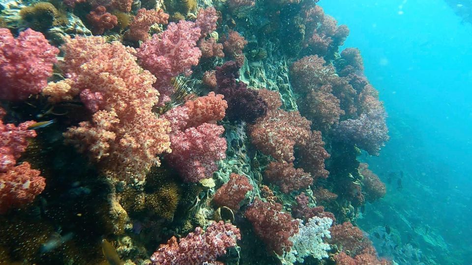 Snorkeling Trip Around Adang - Common questions