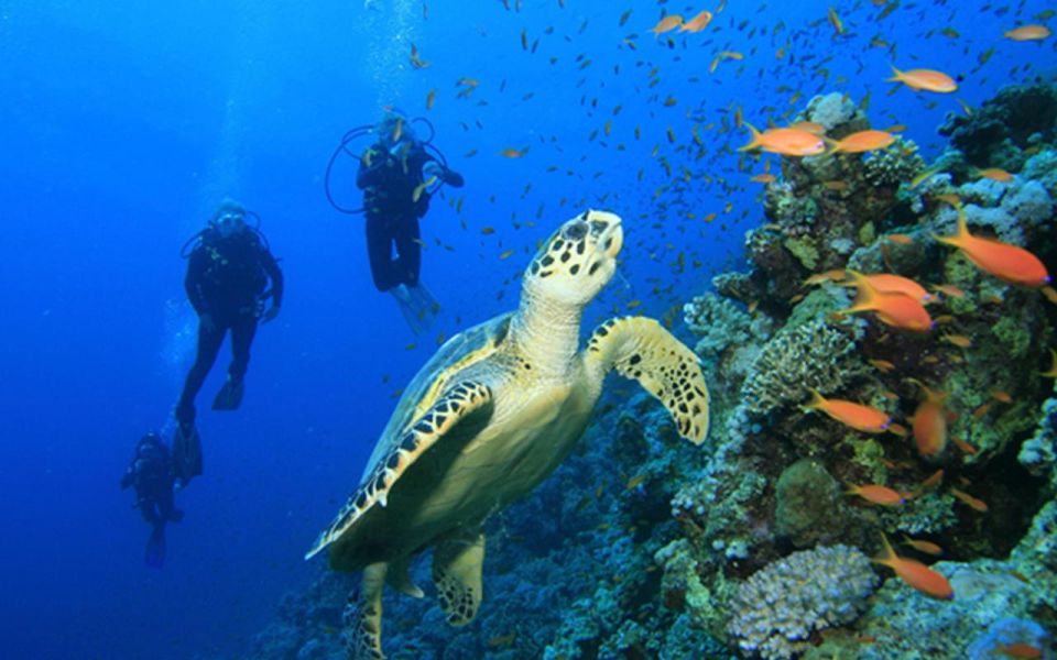 Snorkeling Trip From Polhena Beach, Matara, Sri Lanka - Location and Directions