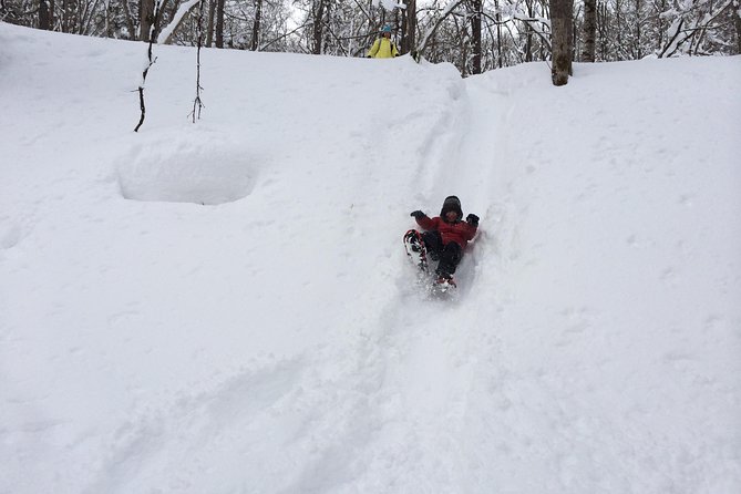 Snowshoe Hike Tour From Sapporo - Trail Highlights