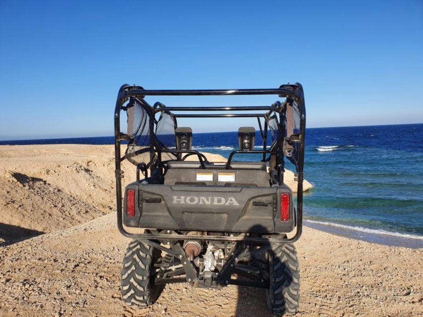 Soma Bay: Sea & Mountains Private Buggy Safari Adventure - Safety Precautions