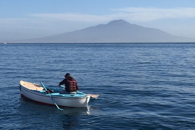 Sorrento Small-Group Sightseeing and Food Tour - Common questions