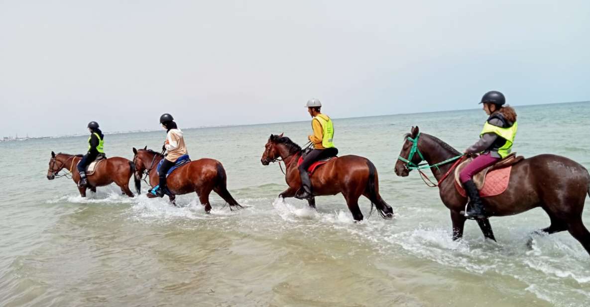 Sousse/Monastir: Private Horseback Riding Trip With Transfer - Last Words