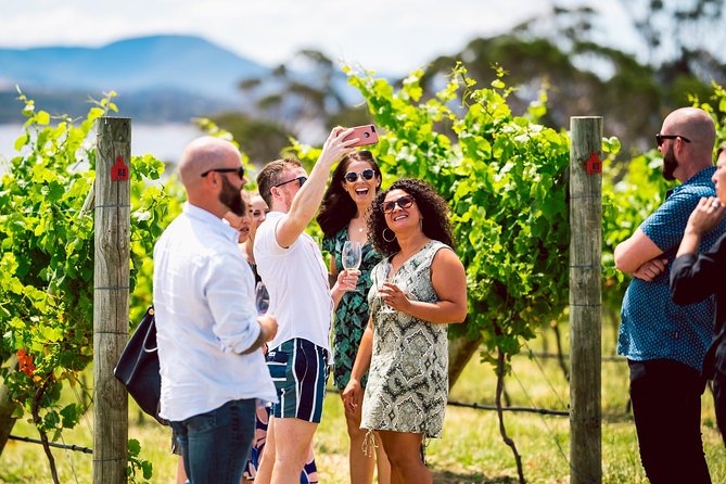 South Tasmania Full-Day Small-Group Wine Tour (Mar ) - Reviews and Testimonials