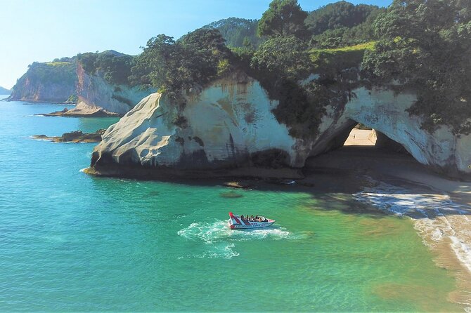 Speed Boat Tour to Cathedral Cove  - Whitianga - Booking Confirmation