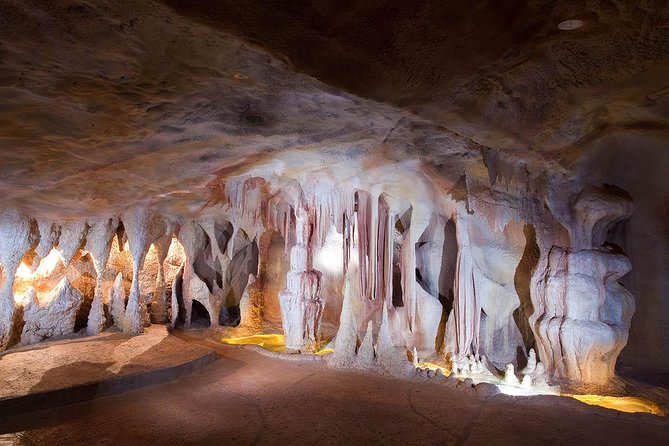 Springbrook Andtamborine Rainforest Tour Incl Natural Bridge and Glow Worm Cave - Directions and Tips