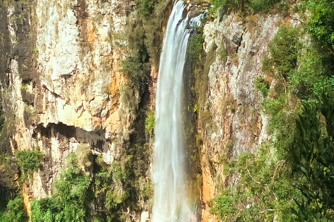 Springbrook National Park Shared Waterfalls Tour  - Surfers Paradise - What to Bring