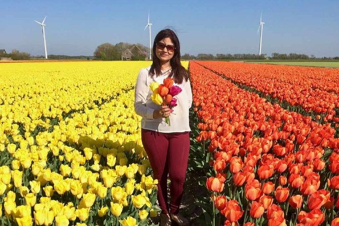 Springtime Private Tour to Keukenhof, Tulip Fields and Windmills - Contact and Assistance