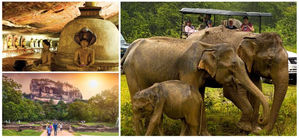 Sri Lanka Hill Country Bless Kandy, Nuwara Eliya and Ella - Tea Gardens and Waterfalls Experience