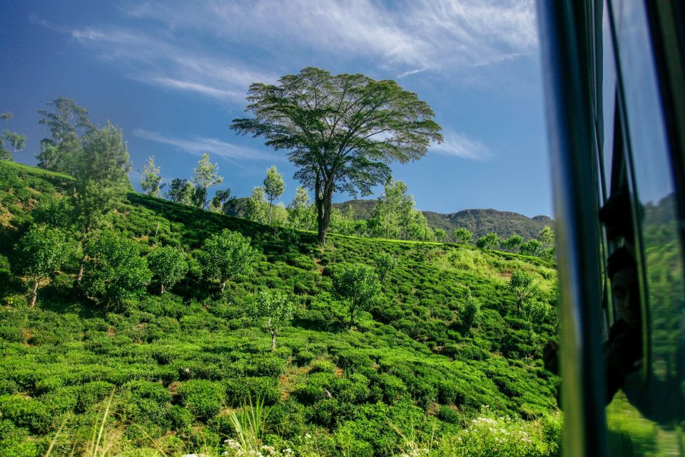 Sri Lanka Hill Country Train Trip, Kandy, Nuwara Eliya 2-Day - Review Summary