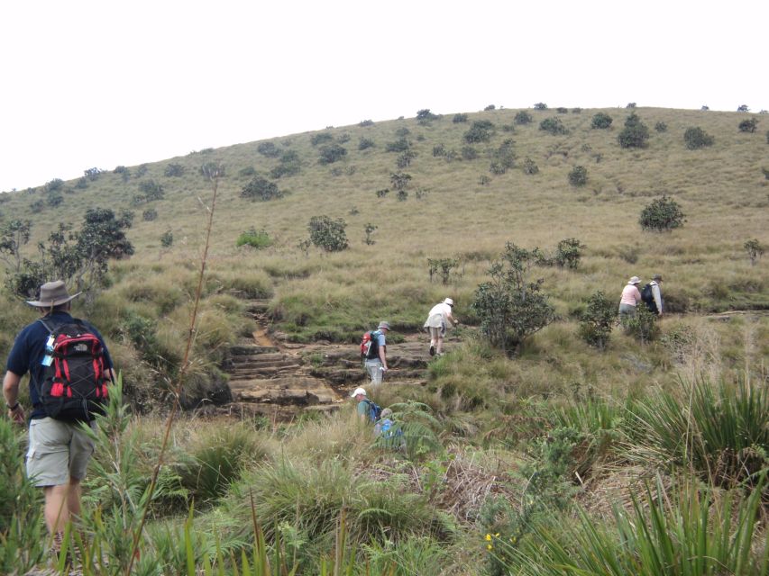 Sri Lanka Holidays With One Week Trekking the Pekoe Trail - How to Book Your Trekking Experience