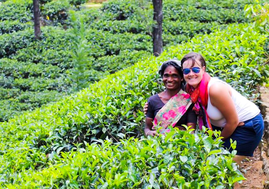 Sri Lanka: Kandy Private Day Tour With Pickup - Tour Itinerary