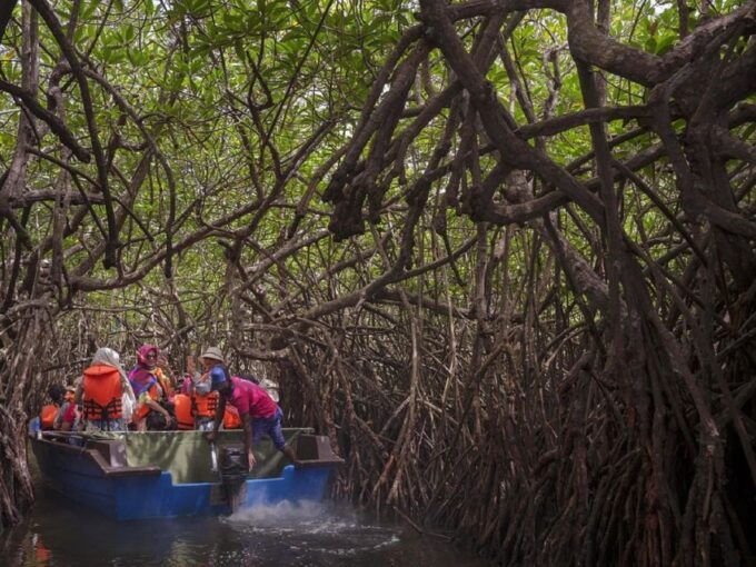 Sri Lanka Rainforest Trekking, Wildlife Safari, Water Sport - Additional Details