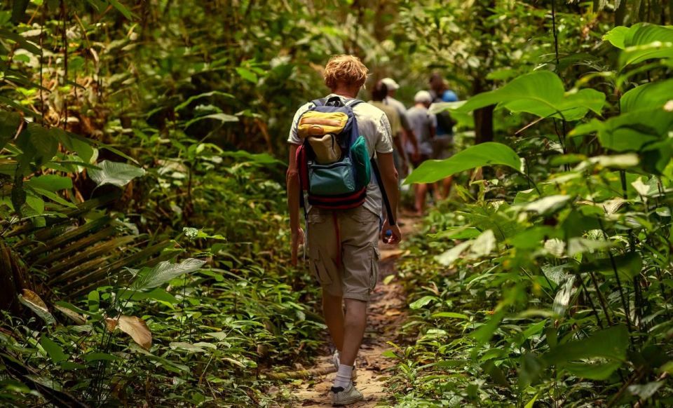 St. Kitts: Rainforest Eco Adventure Guided Hike - Common questions