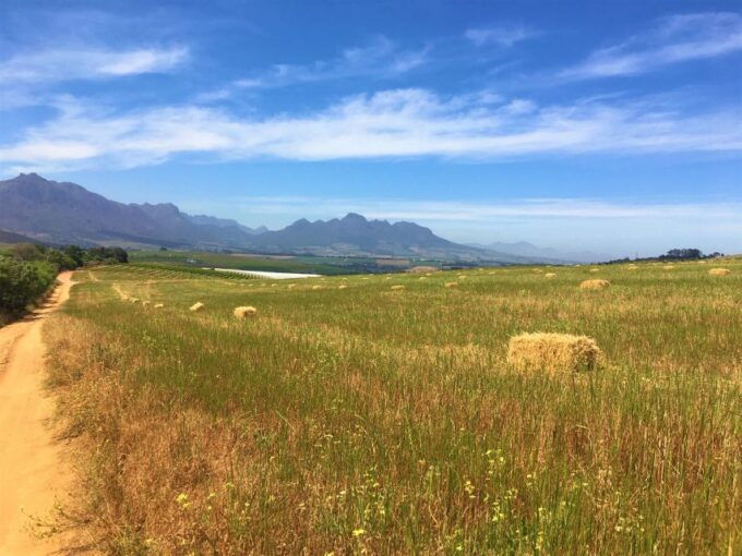 Stellenbosch: Devon Valley Vineyards Bicycle Tour W. Lunch - Additional Information