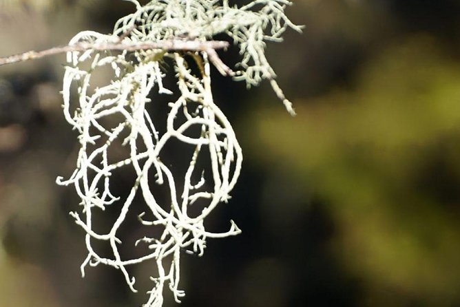 Stevensons Island Cruise and Nature Walk From Wanaka - Recommended Gear