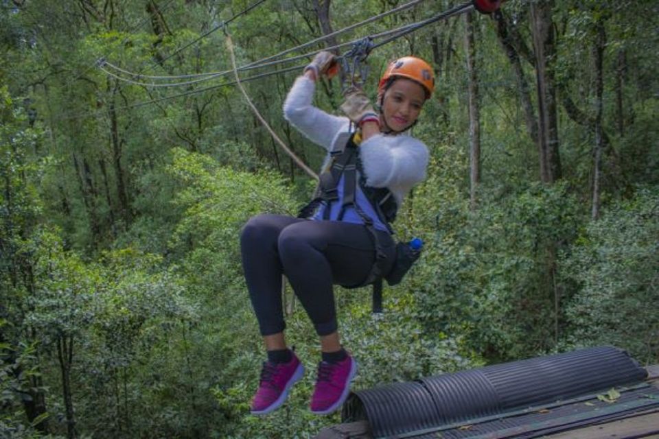 Storms River: Tsitsikamma National Park Zipline Canopy Tour - Common questions