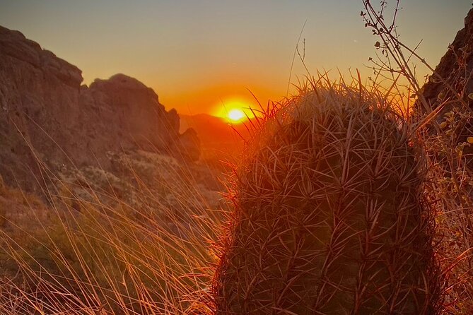 Stunning Sunrise or Sunset Guided Hiking Adventure in the Sonoran Desert - Reviews and Testimonials