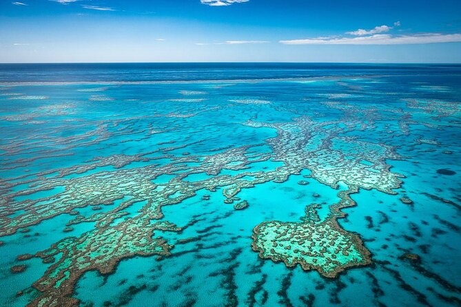 Sunlover Reef Cruises Cairns Great Barrier Reef Experience - Experience Highlights & Concerns