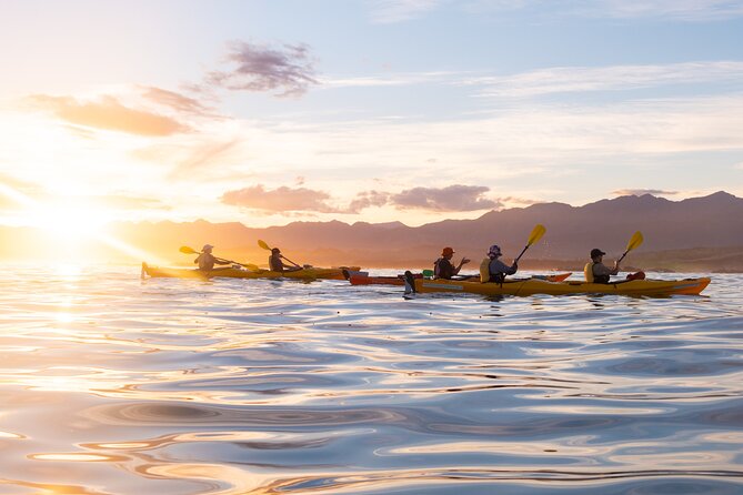 Sunset Evening Kayaking Tour - Kaikoura - Cancellation Policy