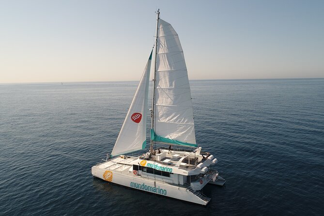 Sunset From a Catamaran in Malaga - Important Reminders