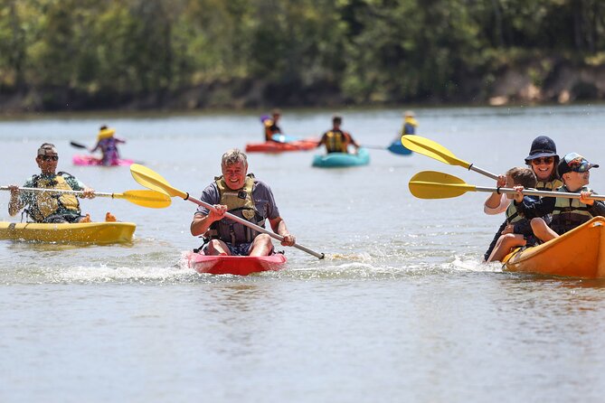 Sunset Kayak Eco Tour With Marine Scientist - Sunset Kayaking Experience