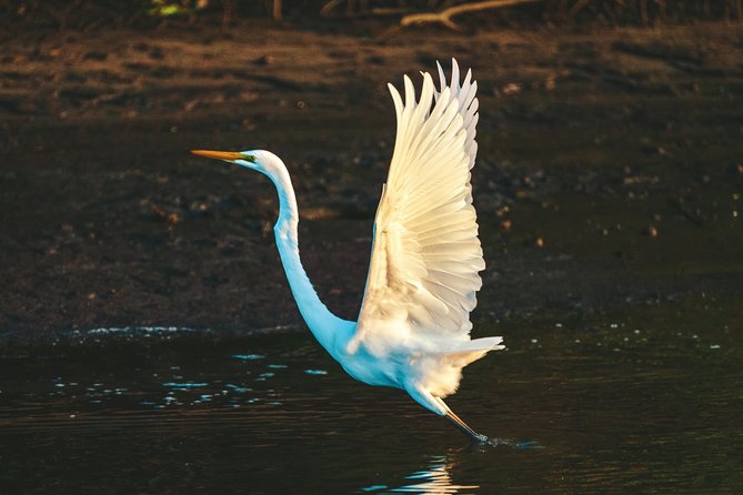 Sunset River Cruise Near Byron Bay - Common questions