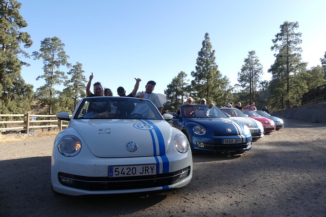 Sunset Tour in Beetle Convertible West Coast - Safety Measures