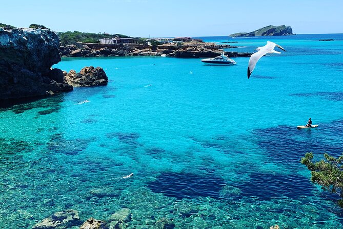 SUP Adventure Ibiza (Stand up Paddle , Snorkeling ,Kayaking) VIP - Activity Location