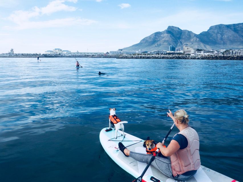 SUP Ocean Tour - Last Words