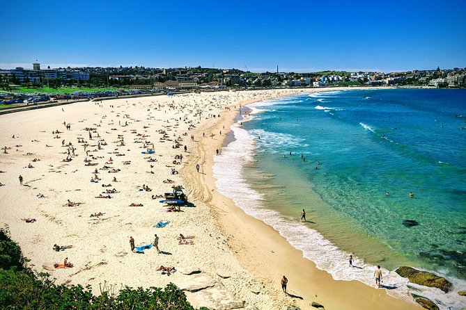 Sydney, The Rocks, Watsons Bay, Bondi Beach FULL DAY PRIVATE TOUR - Pickup and Drop-off
