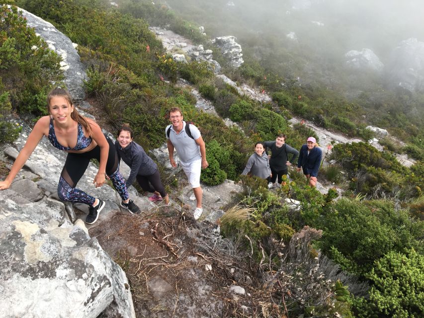 Table Mountain Hike With Local Tour Guide - Highlights and Experience