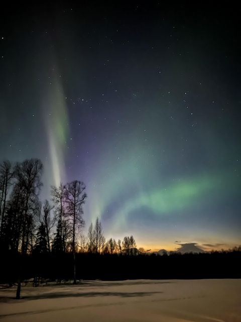 Talkeetna: Winter Dog Sled Tour Morning or Night Mush! - Tour Duration and Guide