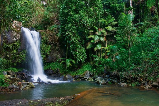 Tamborine Mountain Shuttle From Helensvale Station, Gold Coast (Mar ) - Cancellation and Refund Policies