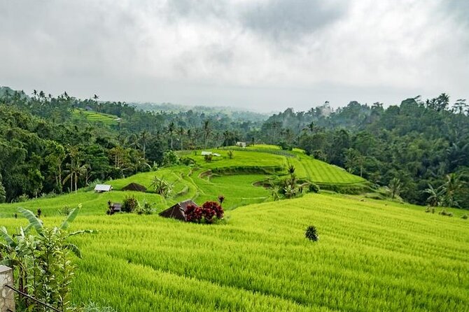 Tanah Lot and North Bali Tour: Scenic Journey - Common questions