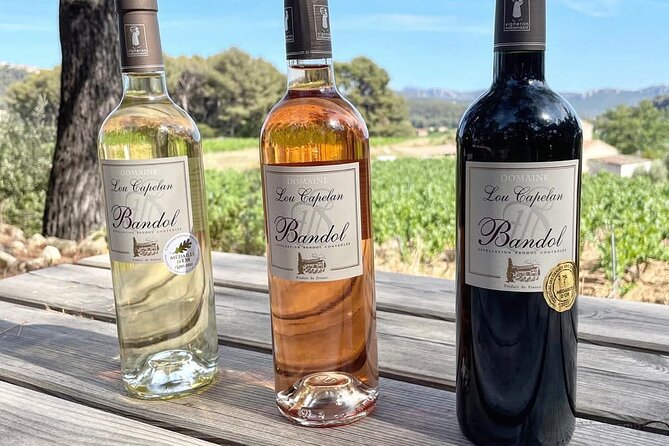 Tasting Bandol Wines & Visit of Cellar (in English) - Refund and Cancellation Policy