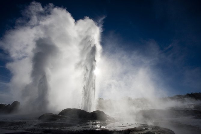 Tauranga - Wia O Tapu Wonderland & Rotorua Geysers: Private Tour - Viator Assistance