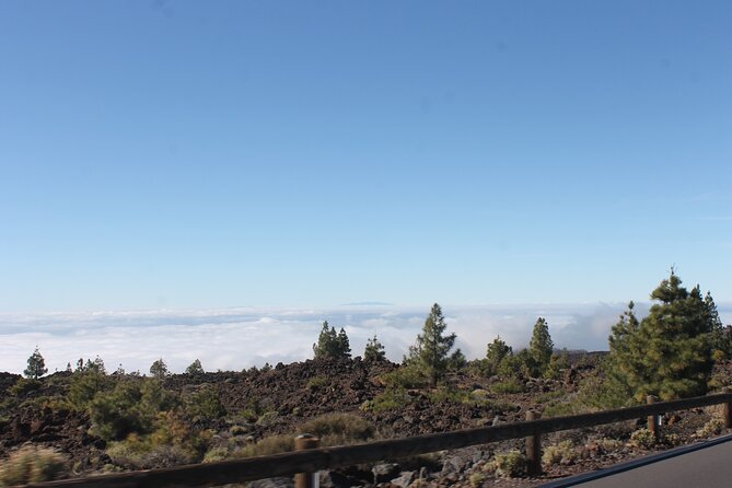 Teide Volcano National Park Quad Biking Tour - Common questions
