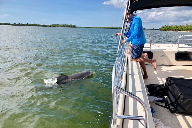 Ten Thousand Islands Boat Tour up to 12 People - Marine Life Spotting