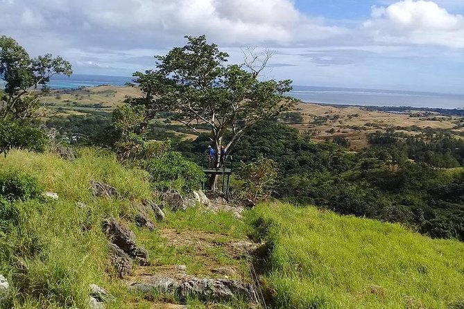 The Amazing Highlights of Nadi and Veseisei ( Private Tour ) - Common questions