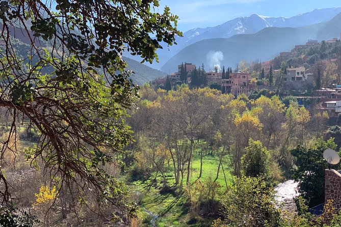 The Atlas Mountains and 5 Valleys Day Trip From Marrakech With Berber Lunch - Last Words